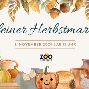 Kleiner Herbstmarkt im Zoo am 1.11.2024